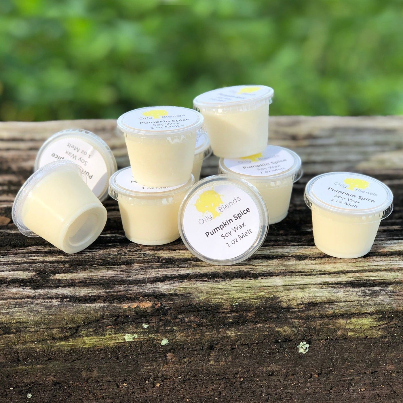 Entire Collection Scent Sampler 1 oz Soy Wax Melts - Oily BlendsEntire Collection Scent Sampler 1 oz Soy Wax Melts