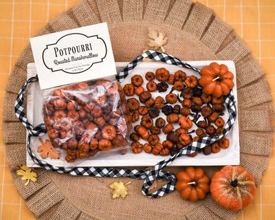 Mini Pumpkin Potpourri - Oily BlendsMini Pumpkin Potpourri